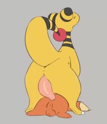 2021 ampharos anal anal_sex animated anthro balls big_penis buizel cloacal_penis duo erection genitals honeymono loop male male/male male_penetrated male_penetrating male_penetrating_male nintendo penetration penis perineum pokémon_(species) pokemon pokemon_(species) pokemon_mystery_dungeon sex short_playtime size_difference video_games