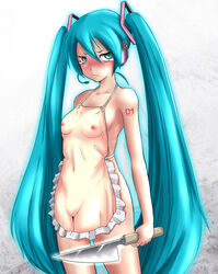 ao_usagi apron aqua_eyes aqua_hair blush censored embarrassed hatsune_miku headphones headset inanimate knife long_hair naked_apron nipples no_pussy pointless_censoring solo tear tied_hair too_literal twintails vocaloid