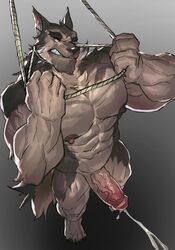 abs anthro asphyxiation barazoku big_muscles big_nipples bodily_fluids bondage bondage bound brown_body brown_fur canid canine canis choking cum domestic_dog ejaculation fur genital_fluids genitals german_shepherd hands-free herding_dog hi_res kunchafu male mammal muscular muscular_arms muscular_male neck_tuft nipples orgasm pastoral_dog pecs penis prick_ears restraints rope rope_bondage solo struggling tan_body tan_fur tuft vein veiny_penis