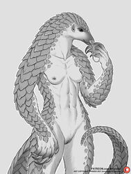 2021 5_fingers anisis anthro areola breasts digital_media_(artwork) female fingers genitals hi_res long_tongue mammal nipples nude pangolin pubes pussy smile tongue tongue_out