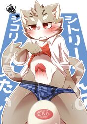 1boy absurd_res anthro blush bodily_fluids boxer_briefs clothed clothing clothing_lift domestic_cat edit erection felid feline felis genital_fluids genitals hi_res humanoid_genitalia humanoid_penis kemono lifewonders male male_only mammal navel penetrable_sex_toy penis precum sex_toy shirt shirt_lift sitri solo tokyo_afterschool_summoners topwear tsukane_yoda uncensored underwear video_games