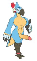 anthro avian balls big_penis blue_body breath_of_the_wild erection feathers genitals hi_res humanoid_genitalia humanoid_penis kass_(tloz) kass_(zelda) looking_at_viewer male male_only muscular muscular_male nintendo penis rito simple_background solo solo_male tan_body the_legend_of_zelda video_games whike