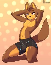 anthro clothing copper_(character) hi_res male male_only nipples renabu solo underwear