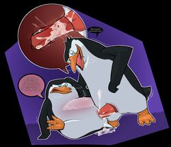 animal_genitalia bodily_fluids cloaca cloacal cloacal_penetration cum cum_inside dreamworks genital_fluids genitals hi_res madagascar_(series) male male/male penetration rico_(madagascar) saeboof skipper_(madagascar) the_penguins_of_madagascar