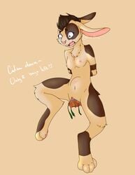 Absurd Res Rule 34 Image