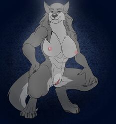 2019 4_toes 5_fingers abs anthro athletic athletic_anthro athletic_female big_breasts black_nose blue_eyes braided_hair breasts canid canine canis claws crouching digital_media_(artwork) digitigrade feet female finger_claws fingers freelapse fur genitals grey_body grey_fur grey_hair hair hand_on_leg hand_on_own_thigh hand_on_thigh hi_res hindpaw humanoid_hands lady_red_(wolfpack67) long_hair mammal mature_anthro mature_female muscular muscular_female navel nipples nude paws pubes pussy smile solo spread_legs spreading toe_claws toes wolf wolfpack67