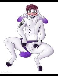 absurd_res anthro black_bars blush cuntboy eyewear genitals glasses goodbiscuit hi_res intersex lagomorph leporid letterbox male mammal multi_nipple nipples nullo paws presenting rabbit solo vi_(peepance)