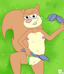 anthro brown_body brown_fur clothed clothing clothing_aside female fur grass hi_res high-angle_view lying lying_on_ground mammal nickelodeon on_back panties panties_aside plant rodent sandy_cheeks sciurid smug solo spongebob_squarepants spongebob_squarepants_(series) straight_hair teot topless tree_squirrel underwear underwear_aside