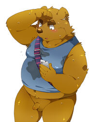 3:4 anthro balls belly blush bodily_fluids bottomless bottomless_male brown_body cellphone clothed clothing erection foreskin fur furry genitals humanoid_hands kemono male mammal moobs navel nikiciy nude overweight overweight_anthro overweight_male penis phone shirt simple_background smartphone solo sweat topwear ursid