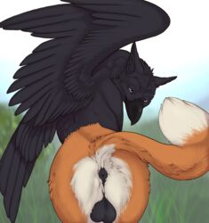 alexandros anus ass avian balls bird canid canine corvid corvus_(genus) feathered_wings feathers feral fox genitals gryphon hybrid male mammal mythological_avian mythological_creature mythology oscine passerine peanertgallery presenting raven_(bird) solo wings