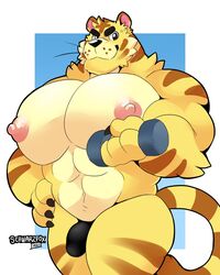 animal_crossing anthro big_muscles black_clothing black_thong black_underwear bulge clothing dumbbell exercise felid fur hi_res huge_pecs male male_only mammal muscular muscular_anthro muscular_male nintendo nipples pantherine schwarzfox solo thong tiger tybalt_(animal_crossing) underwear video_games weightlifting weights workout yellow_body yellow_fur