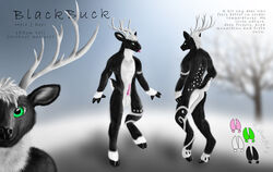 anthro antlers ass balls black-buck_(artist) black-buck_(character) cervid digital_media_(artwork) english_text erection fluffy fur genitals hair hooves horn horny_(disambiguation) male mammal model_sheet nude penis simple_background solo text tribal