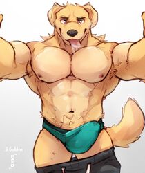 2021 abs anthro armpit_hair big_bulge big_muscles bird_dog bodily_fluids body_hair bulge canid canine canis clothed clothing domestic_dog drooling erection erection_under_clothing eyebrows front_view fur golden_retriever hi_res hunting_dog looking_at_viewer makowolf1 male mammal muscular muscular_anthro muscular_male navel nipples obliques pants_down partially_clothed pecs pubes retriever saliva simple_background solo solo_male tongue tongue_out tuft underwear white_background