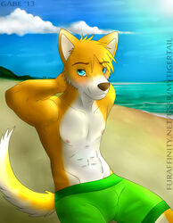 2013 beach blue_eyes blush bulge canid canine canis clothed clothing cloud detailed_bulge domestic_dog hi_res looking_at_viewer male mammal mytigertail seaside signature sitting sky solo text topless topless_male url