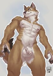 anthro balls biped brown_body brown_fur canid canine canis flaccid foreskin fur genitals grin hi_res humanoid_genitalia humanoid_penis lion21 long_foreskin looking_at_viewer male male_focus male_only mammal muscular muscular_male nipples nude penis simple_background smile solo unretracted_foreskin white_body white_fur wolf