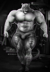 2020 abs anthro balls_outline biceps big_bulge big_muscles biped bottomwear bulge clothed clothing felid footwear genital_outline greyscale gym hi_res huge_thighs hybrid inside liger lion looking_at_viewer mainlion male mammal monochrome muscular muscular_anthro muscular_male muscular_thighs navel nipples pantherine pecs penis_outline pinup pose purrcules_(character) quads revelion shoes shorts sneakers solo thick_thighs tight_bottomwear tight_clothing topless veiny_muscles