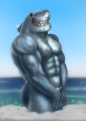 animal_humanoid anthro bara beach beach_background biceps big_muscles dc_comics embarrassed king_shark male male_focus male_only nanaue pecs pecs_focus sea shark shark_boy shark_humanoid smile water wet