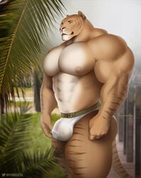 abs anthro areola ass balls barazoku biceps big_muscles big_pecs biped bulge casual_exposure clothed clothing day felid flaccid fur genitals grass hi_res hybrid leaf liger lion mainlion male mammal muscular nipples outside pantherine pecs penis plant purrcules_(character) solo standing striped_body striped_fur stripes tan_body tan_fur thick_thighs translucent translucent_clothing translucent_underwear tree underwear underwear_only vein veiny_penis