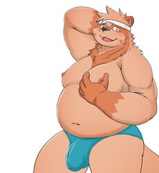 2021 anthro bear_2key belly brown_body bulge canid canine clothing genital_outline humanoid_hands kemono male mammal moobs navel nipples overweight overweight_male penis_outline raccoon_dog simple_background solo tanuki underwear white_background