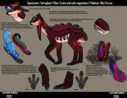 alien ambiguous_gender avian-king blue_penis character_sheet countershade_torso countershading egg english_text feet feral footprint genitals hi_res long_ears long_legs model_sheet nails paws penis plant quadruped red_body short_tail solo text toes water white_body