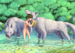 1girls 2016 bathing bathing_outside bathing_together beautiful_background breasts brown_hair canid canine canis casual casual_nudity closed_eyes detailed_background female female_focus female_human female_pubic_hair feral fur genitals grey_body grey_fur group human light-skinned_female light_skin mammal markings mononoke_hime nature_background navel nipples nonsexual nonsexual_nudity nude nude_female outdoors pale_skin partially_submerged pink_nipples princess_mononoke pubic_hair pubic_tuft pussy quadruped red_markings san sensual short_hair studio_ghibli studio_zuburi text url wet wolf wolf_pack wolves