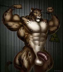 abs alternate_version_at_source anthro areola balls benji_(character) biceps big_balls big_muscles big_penis biped bound chained chains circumcised clouded_leopard digital_media_(artwork) ear_piercing eyebrows felid fist fur genitals half-erect hi_res huge_muscles huge_thighs humanoid_genitalia humanoid_penis mainlion male mammal muscular muscular_anthro muscular_male navel nipples nude open_mouth pantherine pecs penis piercing quads radiation_symbol solo standing symbol tan_body tan_fur teeth thick_thighs vein veiny_penis wrist_cuff