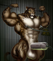 abs anthro areola balls benji_(character) biceps big_balls big_muscles biped bound chained chains clouded_leopard digital_media_(artwork) ear_piercing eyebrows felid fist fur genitals half-erect hi_res huge_muscles huge_thighs humanoid_genitalia humanoid_penis injection machine mainlion male mammal milking_machine muscular muscular_anthro muscular_male navel nipples nude open_mouth pantherine pecs penile penis penis_milking penis_milking_machine piercing quads radiation_symbol solo standing symbol syringe tan_body tan_fur teeth thick_thighs vein veiny_penis wrist_cuff