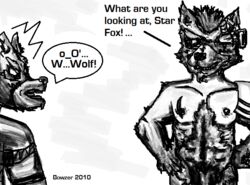 2010 anthro bowzer_(artist) fox fox_mccloud fur furry furry_only gay interspecies male male_only monochrome multiple_males nintendo no_humans star_fox wolf wolf_o'donnell yaoi