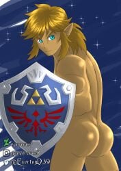 blue_eyes breath_of_the_wild evercras gay link link_(breath_of_the_wild) nsfw the_legend_of_zelda the_legend_of_zelda:_breath_of_the_wild yaoi yellow_hair