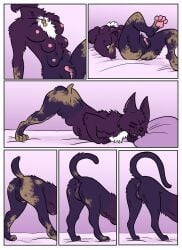 absurd_res all_fours animal_genitalia animal_pussy breasts bubbeh cat-sith celtic_mythology comic cursed_object digital_media_(artwork) domestic_cat european_mythology felid feline feline_genitalia feline_paws feline_pussy felis female feral fur genitals hi_res lying mammal mtf_transformation mythological_creature mythology nipples nude on_back pawpads paws permanent permanent_transformation pussy smile solo species_transformation tail transformation