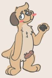 anthro balls blush canid canine canis digital_media_(artwork) domestic_dog erection fur genitals hi_res humanoid_genitalia male male_only mammal nude penis sailby simple_background smile solo