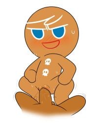 anon from cookie run