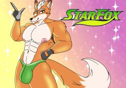 fox mccloud from nintendo by intaneloid