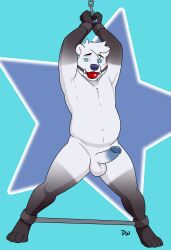 2026 4_toes absurd_res anthro arms_above_head artist_logo ball_gag balls bear biped black_body black_eyebrows black_fur blue_background blue_eyes blue_glans blue_pawpads blue_penis bondage bondage_gear bound chest_tuft darkwolf79 digital_media_(artwork) erection eyebrows facial_scar feet fingers fur gag gagged genitals glans glistening glistening_genitalia glistening_glans glistening_penis gloves_(marking) hi_res humanoid_genitalia humanoid_penis leg_markings logo looking_at_viewer male male_anthro mammal markings mismatched_genitalia mismatched_humanoid_penis mismatched_penis multicolored_body multicolored_fur multicolored_penis navel nude nude_anthro nude_male pattern_background pawpads penis polar_bear restraints scar simple_background slightly_chubby slightly_chubby_anthro slightly_chubby_male socks_(marking) solo spreader_bar star-shaped_background star_polygon toes tuft two_tone_body two_tone_fur two_tone_penis ursine white_balls white_body white_fur white_penis wide_stance
