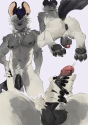 2026 absurd_res anthro areola arknights armpit_hair balls black_hair body_hair ear_piercing ejaculation eyebrow_piercing facial_piercing feet foreskin fur genitals green_body grey_body grey_fur hair half-closed_eyes hi_res hindpaw humanoid_genitalia humanoid_penis hyena hypergryph irisart_nsfw looking_at_viewer male male_only mammal masturbation multicolored_body multicolored_fur multicolored_hair multiple_poses narrowed_eyes navel nipples pawpads paws penis piercing pose puves raised_tail simple_background solo spot_(arknights) spotted_hyena studio_montagne tail tuft two_tone_body two_tone_fur two_tone_hair