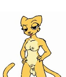 animal_genitalia anonymous_artist anthro balls bethesda_softworks breasts facial_expression felid fully_sheathed futanari genitals gynomorph intersex katia_managan khajiit mammal prequel sheath solo the_elder_scrolls video_games webcomic