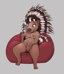 anthro becky_(sing) breasts crested_porcupine female fur genitals hi_res honeymono hystricid illumination_entertainment mammal nipples nude porcupine pussy rodent simple_background sing_(movie) smile solo