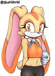 aged_up anthro blackhiro76 breasts cameltoe cream_the_rabbit female furry kyodashiro lagomorph leporid mammal rabbit sega simple_background small_breasts solo sonic_(series) sonic_the_hedgehog_(series) white_background