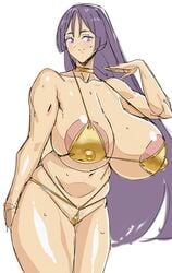 bikini fate/grand_order fate_(series) golden_bikini hairi huge_breasts looking_at_viewer minamoto_no_raikou_(fate/grand_order) plump pubic_stubble puffy_nipples purple_hair thick_thighs