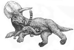 2020 a_inc anal balls ceratopsian dinosaur erection fellatio feral feral_on_feral genitals greyscale interspecies lemur male male/male mammal monochrome oral ornithischian penile primate raised_tail reptile rimming scalie sex strepsirrhine triceratops