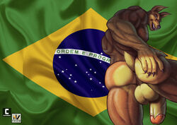 anthro anus ass balls bonner_(character) brazil brazilian_flag brown_body brown_fur canid canine canis countershading digital_media_(artwork) dobermann domestic_dog fur genitals hand_on_butt hi_res humanoid_genitalia humanoid_hands humanoid_penis looking_at_viewer low-angle_view male mammal muscular muscular_male nexus nude penis pinscher portuguese_text pose rear_view solo teeth text vein veiny_arms veiny_penis yellow_body yellow_countershading