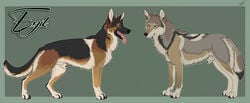 animal_genitalia canid canine canis domestic_dog duo feral fully_sheathed fur genitals german_shepherd herding_dog husky hybernation male male_only mammal model_sheet multicolored_body multicolored_fur nordic_sled_dog pastoral_dog sheath simple_background spitz standing tongue tongue_out