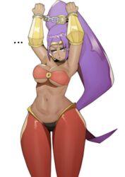 1girls belly_dancer big_breasts bondage breasts dark-skinned_female dark_skin doublehero female female_only geo-tempest handcuffed handcuffs large_breasts navel purple_eyes purple_hair shantae shantae_(character) smooth_skin solo solo_female tagme thighs