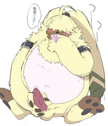 1boy 2021 angoramon anthro balls bandai_namco belly blush digimon digimon_(species) digimon_ghost_game erection genitals japanese_text kemono konbu male male_only masturbation overweight overweight_male penis simple_background sitting sniffing solo text white_background