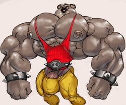 2017 abs activision anthro barazoku belt biceps big_bulge big_muscles big_nipples bottomwear bracelet bulge clothed clothing crash_(series) ear_piercing ear_ring flaccid genitals huge_bulge huge_muscles huge_pecs hyper hyper_muscles ineffective_clothing jewelry koala koala_kong male male_only mammal marsupial muscular muscular_anthro muscular_male nipple_piercing nipple_ring nipples obliques pants pecs penis piercing remert shirt simple_background snarling solo spiked_bracelet spikes standing tank_top thong topwear underwear video_games vombatiform white_background