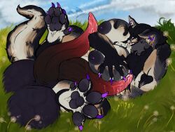 2_penises absurd_res animal_genitalia animal_penis anthro balls big_balls big_breasts big_penis bodily_fluids border_collie breast_grab breast_play breast_squish breasts canid canine canis cetacean_genitalia cetacean_penis collie domestic_dog ear_piercing elemental_creature feet flora_fauna genital_fluids genitals grass grass_field gynomorph hand_on_breast herding_dog hi_res hindpaw huge_balls huge_cock intersex leaking leaking_penis leaking_precum lying male mammal multi_genitalia multi_penis nipple_piercing nipples nonbinary_(lore) on_back pastoral_dog pawpads paws penis piercing plant precum sheepdog solo squish tapering_penis wolf yonnixart