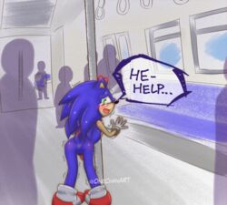 anthro anus arms_tied ass blush bodily_fluids bondage bound dialogue eulipotyphlan forced hedgehog male male/male mammal onechan public public_exposure public_humiliation public_transportation rape sega sex solo_focus sonic_(series) sonic_the_hedgehog sonic_the_hedgehog_(series) stuck tears text train vehicle