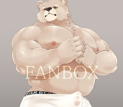 1boy 2021 anthro belly bulge clothed clothing distracting_watermark erection erection_under_clothing genital_outline hi_res humanoid_hands kemono kumao male male_only mammal moobs musclegut navel nipples overweight overweight_male penis_outline solo underwear ursid watermark white_underwear