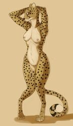 2021 anthro breasts cheetah felid feline female full-length_portrait fur genitals hands_behind_head hi_res looking_at_viewer mammal nipples nude portrait pussy solo spots standing tan_body tan_fur tggeko