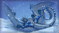 2021 blue_body blue_feathers blue_fur digital_media_(artwork) dragon english_text feathered_dragon feathered_wings feathers female feral fur furred_dragon genitals hi_res keltaan looking_at_viewer pussy snow snowing solo text wings